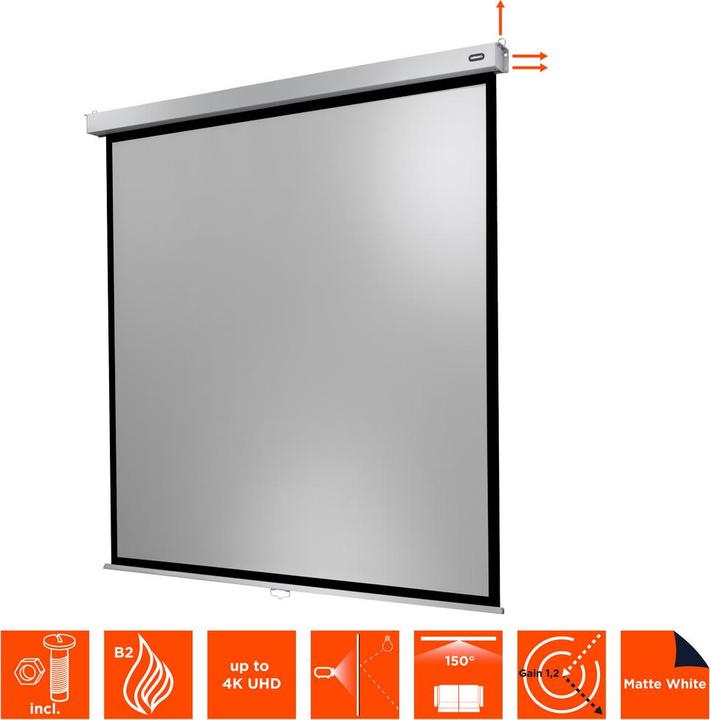 Actual product image Celexon Rollo Professional (122.44", 1:1)