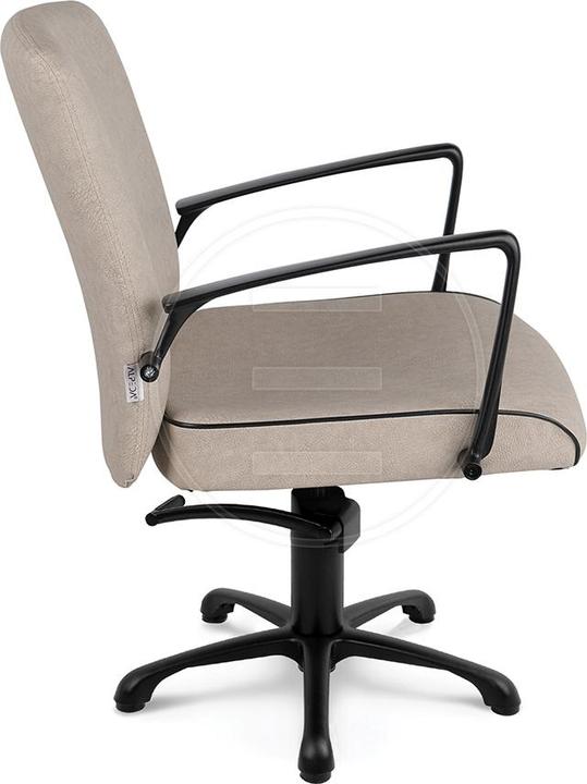 Alpeda Icon Black KL Ladies' chairs
