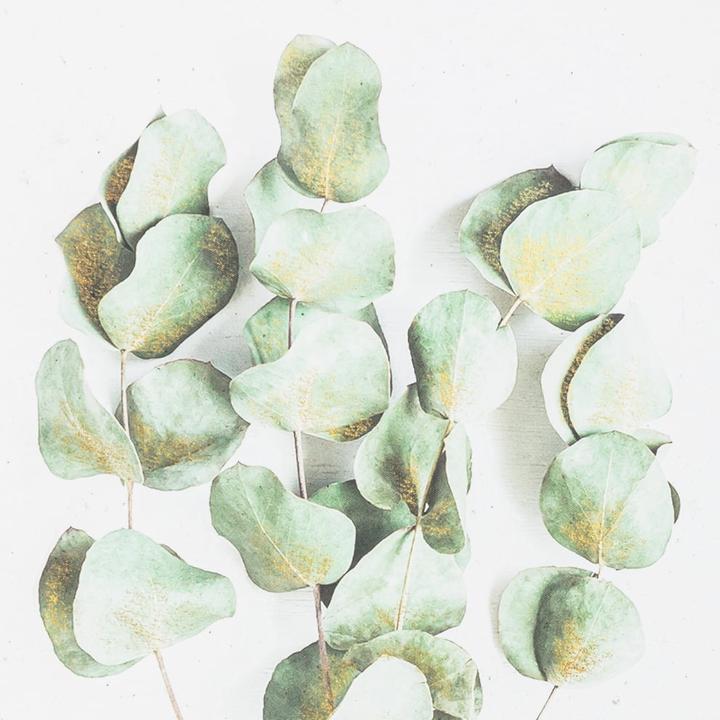 Immagine prodotto edy&liv Muen (50 x 50 cm)