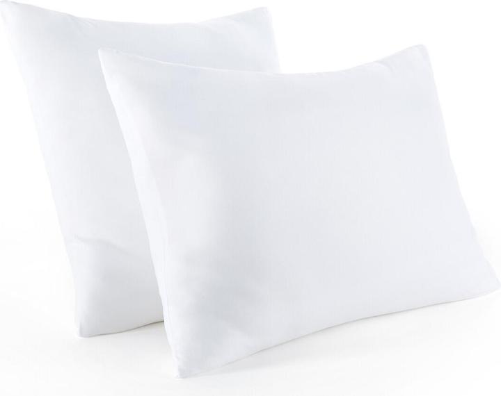 La Redoute Interieurs Oreiller (60 x 60 cm)