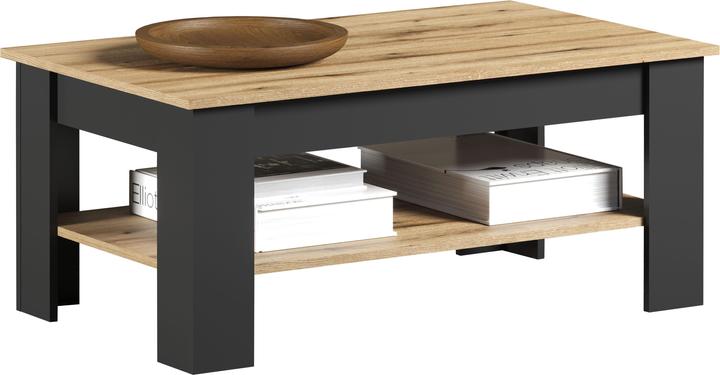 Trendteam Universal (110 x 65 x 47 cm)