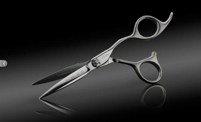 Image du produit Olivia Garden Ciseaux professionnels (17.27 cm)