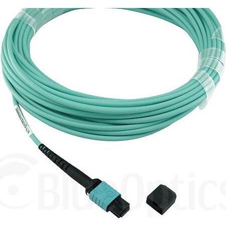 Thumbnail - BlueOptics NetApp X66200-30 kompatibles MPO-MPO Multimode OM3 Patchkabel 30 Meter (CAT6, 30 m), Netzwerkkabel