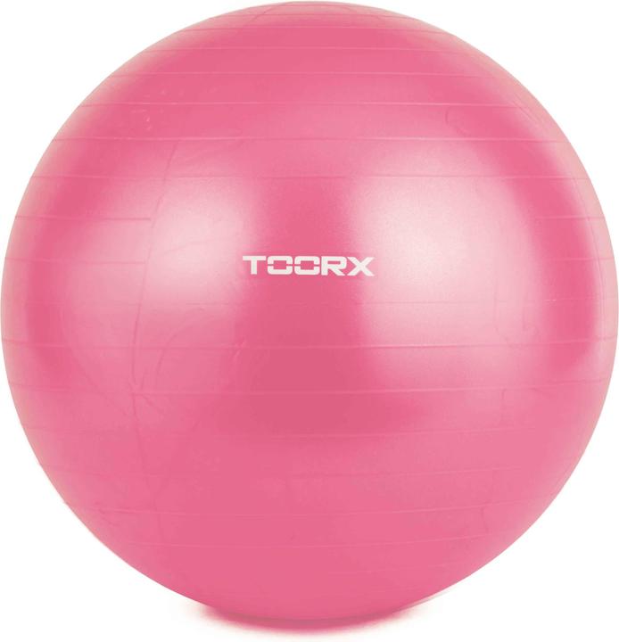 Actual product image Toorx Gymnast. kamuolys 55cm AHF-069 su pompa (55 cm)