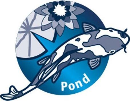 Actual product image Hobby Filter accessories Filter foam coarse, Black, 50 x 50 x 5 cm (External filters, Fresh water, Salt water)