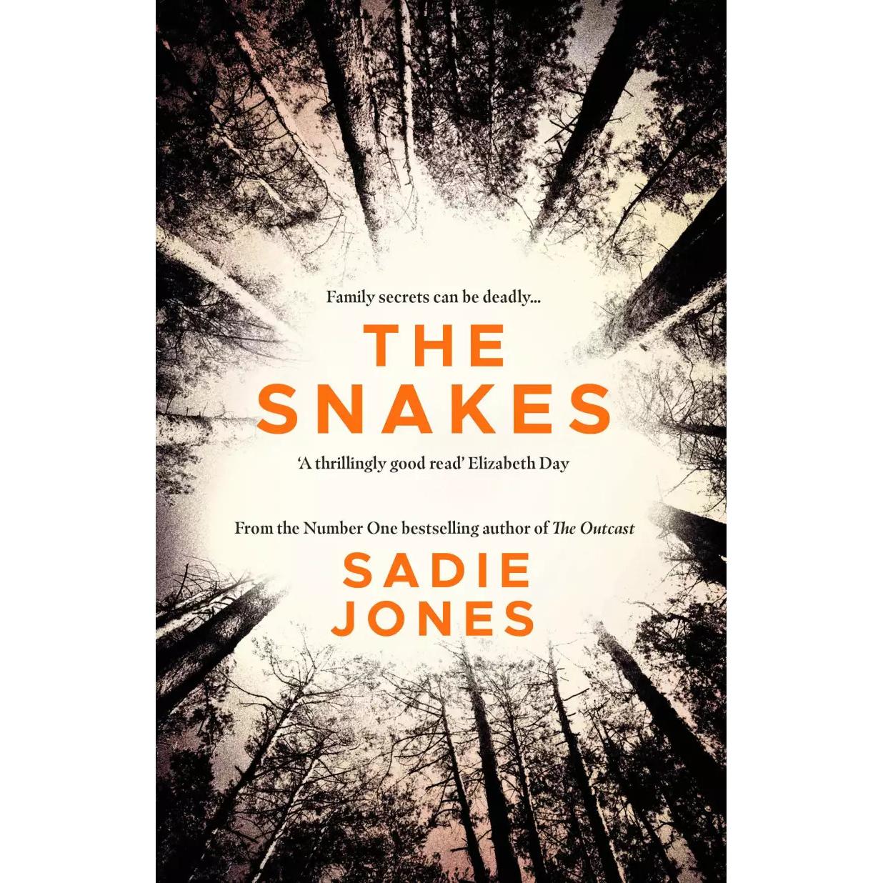 Thumbnail - The Snakes, Belletristik von Sadie Jones