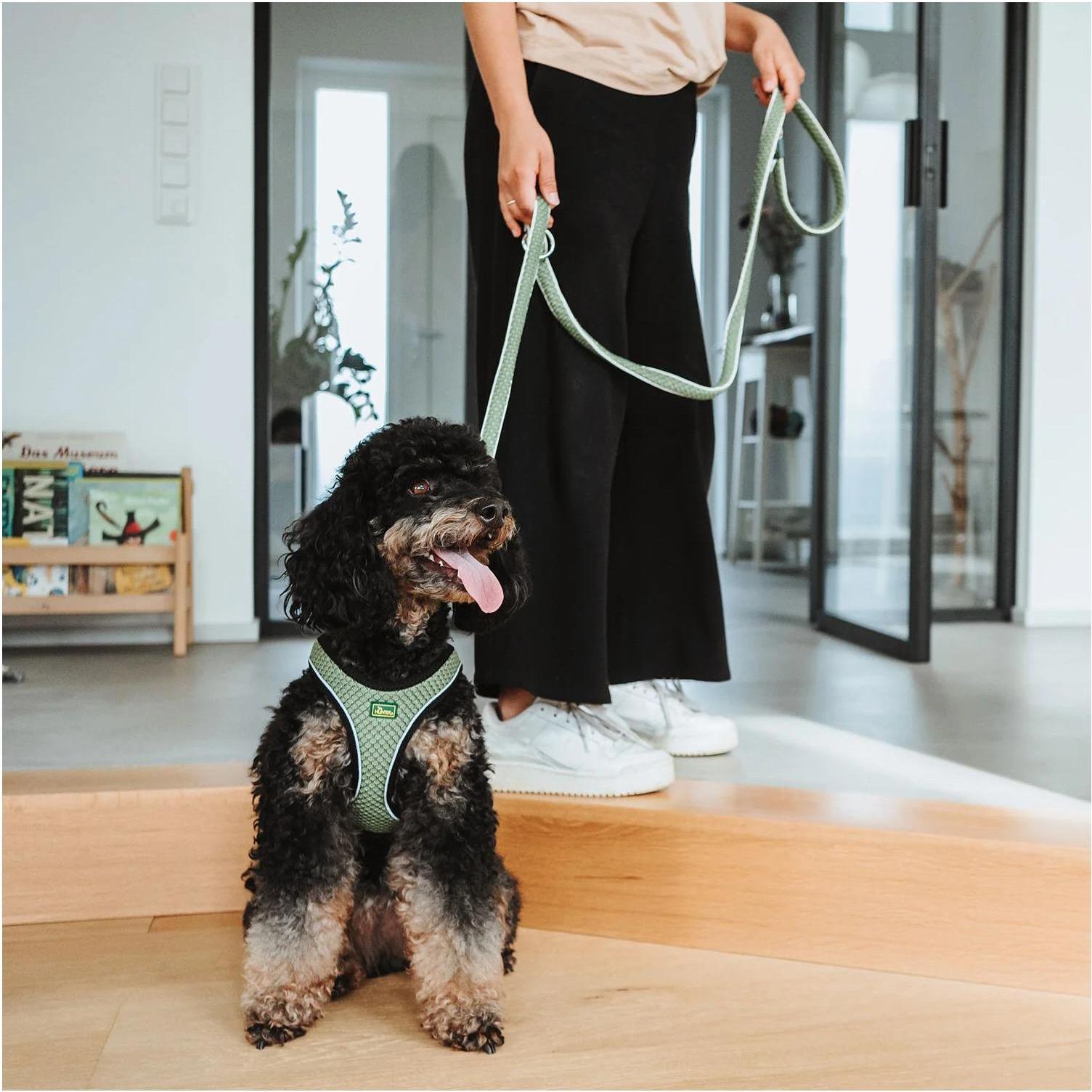 Laisse pour Chien Hunter Vert 2 m Réglable