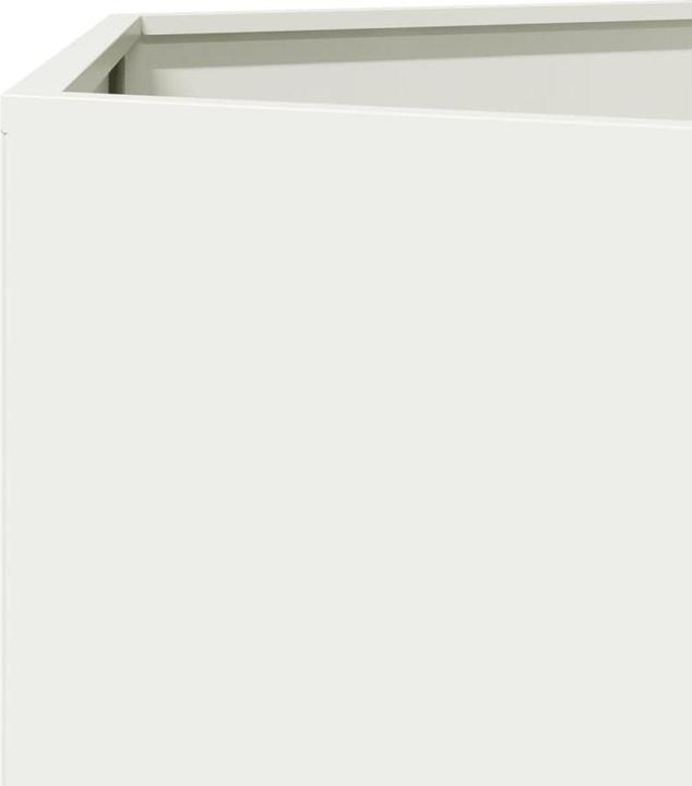 Produktbild vidaXL Pflanzkübel