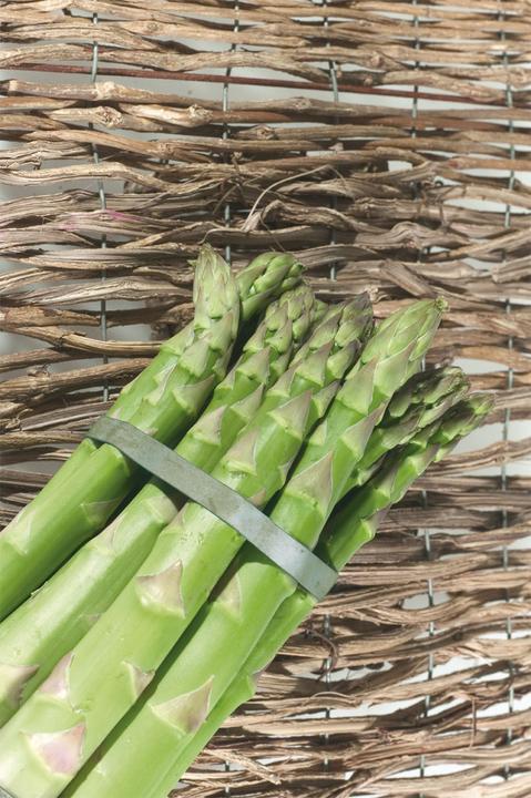 Image du produit Lubera Asperges vertes VerteVite®