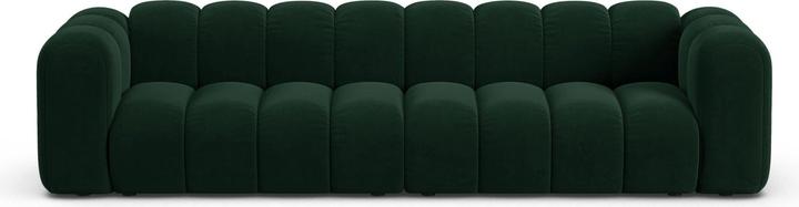 Actual product image Micadoni Lupine