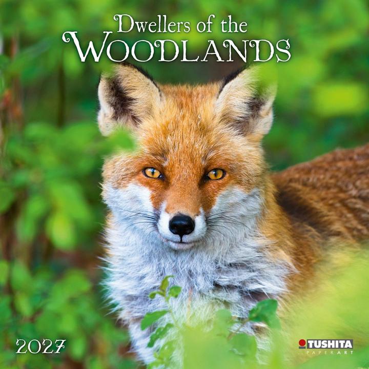 Produktbild Dwellers of the Woodlands 2027