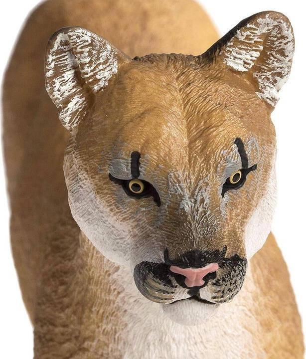 Produktbild Safari Florida-Puma