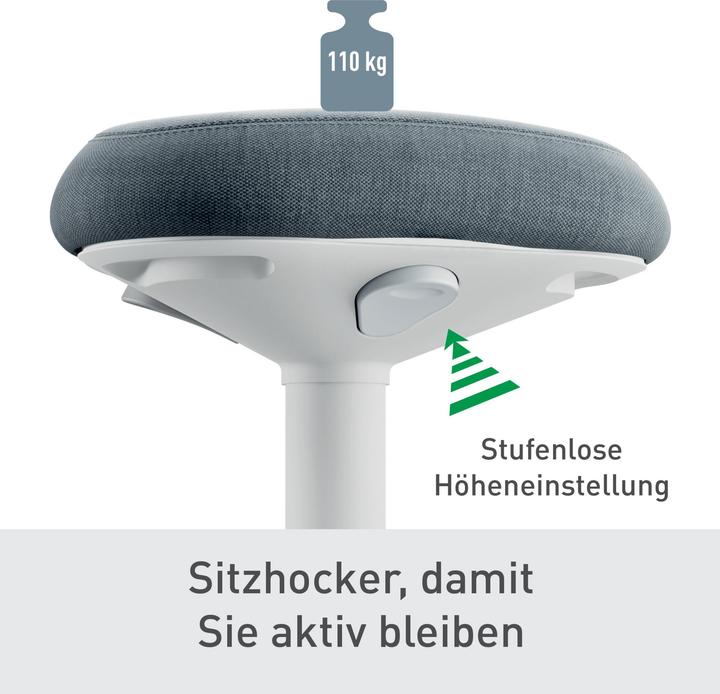 Actual product image Leitz Ergo Active