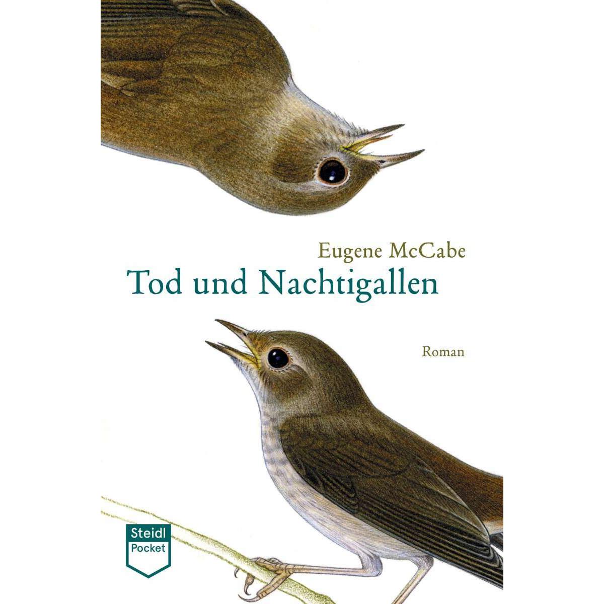 Tod und Nachtigallen ( Pocket), Belletristik von Eugene McCabe