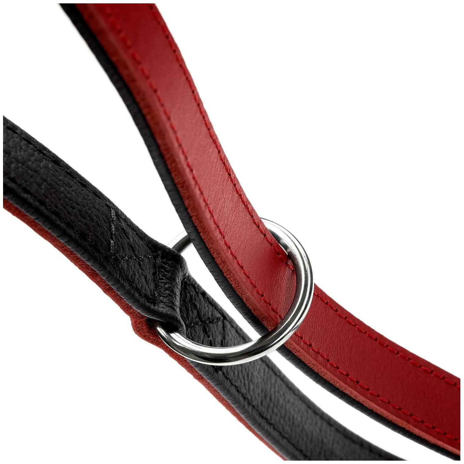 Laisse pour Chien Hunter Rouge 2 m Réglable