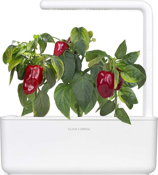 Actual product image Click and Grow Click & Grow Smart Garden refill Red Sweet Pepper 3pcs (Vegetable seeds)