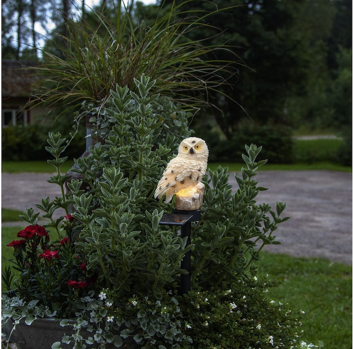 Immagine prodotto Star Trading Owl (IP44)