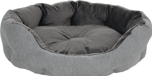 Petlando Letto Montreal