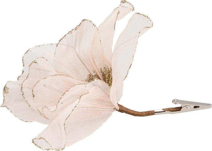 Produktbild pfister Celebration