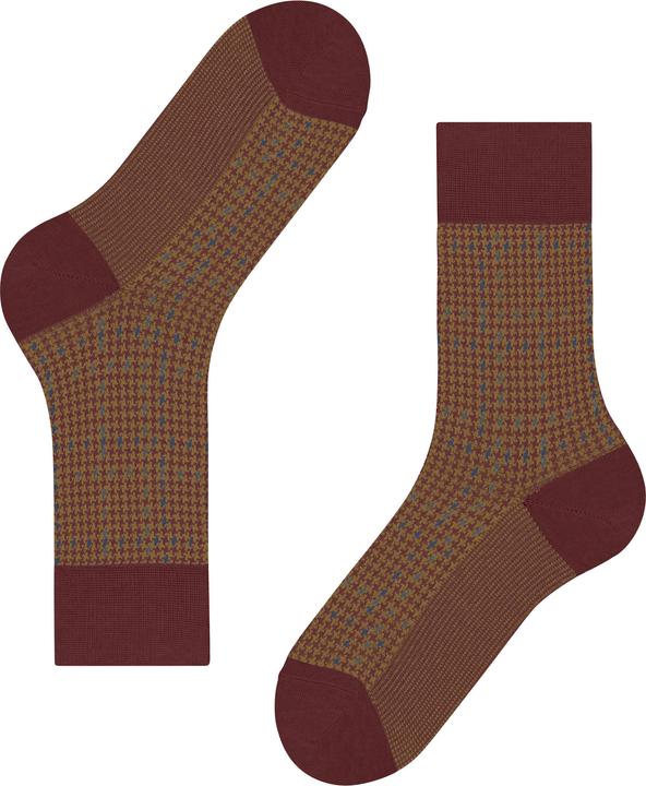 Image du produit Falke Family SO Special Edition (39 - 42)