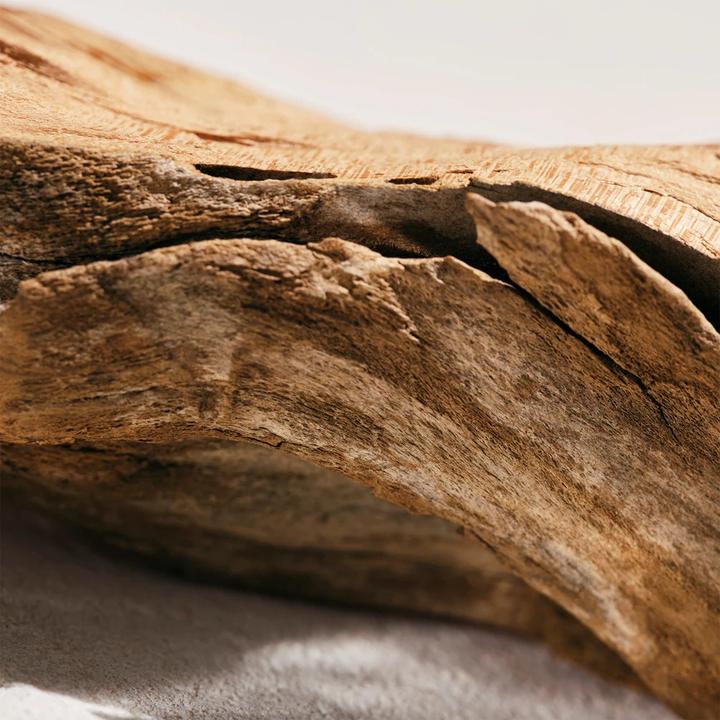 Immagine prodotto Chloé Intenso (Eau de parfum, 30 ml)