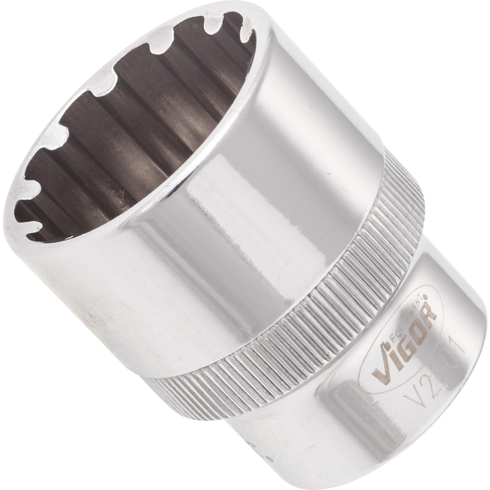 Vigor, Steckschlüssel + Stecknuss, Multiprofil Steckschlüsseleinsatz ∙ V2001 ∙ Vierkant12,5 mm (1/2 Zoll) ∙ Multiprofil ...