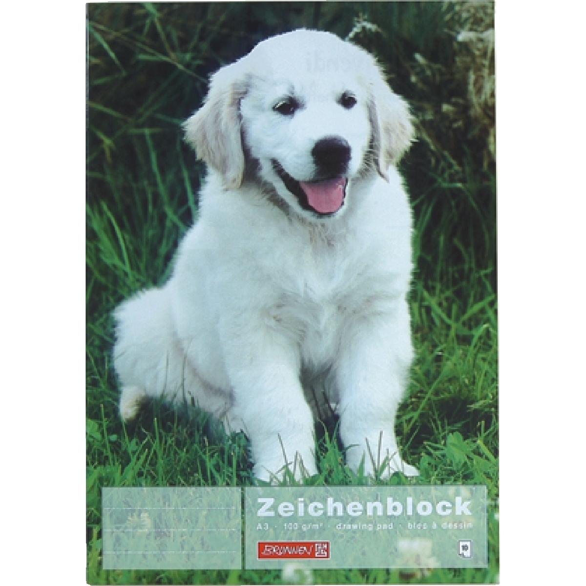 Brunnen, Heft + Block, Zeichenblock A3 100g/qm 10 Blatt (A3)