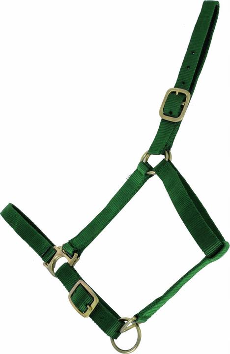 Image du produit TdeT Licol pour cheval doublé suédine