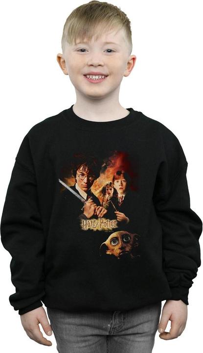 Actual product image Boys Chamber Of Secrets Poster Sweatshirt (128)
