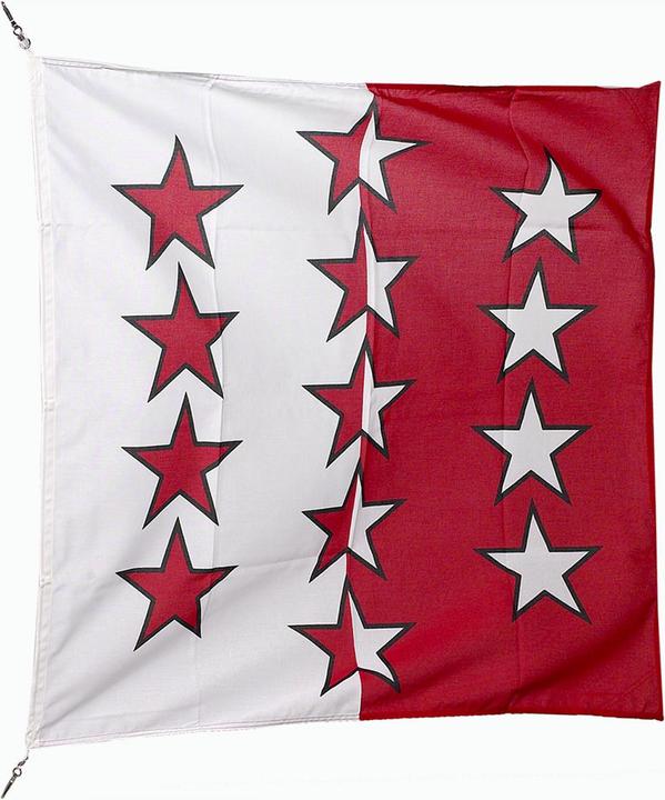 Image du produit Hauser Drapeau Valais, 120x120 cm