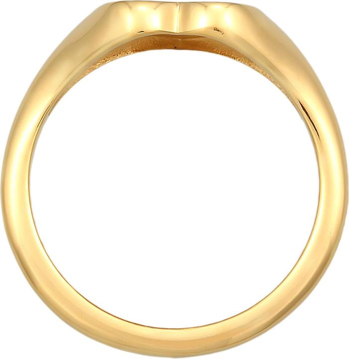 Actual product image Elli Heart, signet ring (54, 925 Silver)