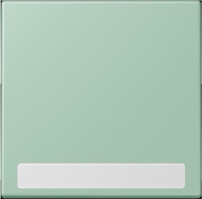 Actual product image JUNG Rocker