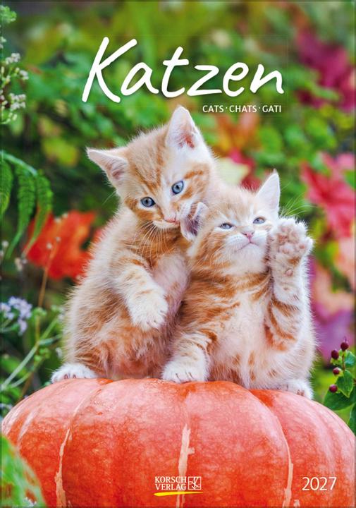 Produktbild Katzen 2027