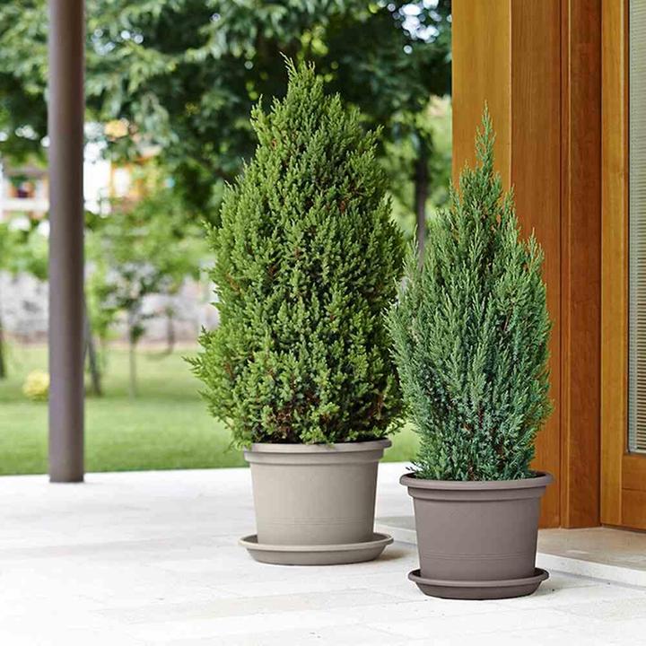 Produktbild Euro3plast Pflanzkübel (25 cm)