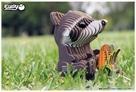 Produktbild Eugy Raccoon