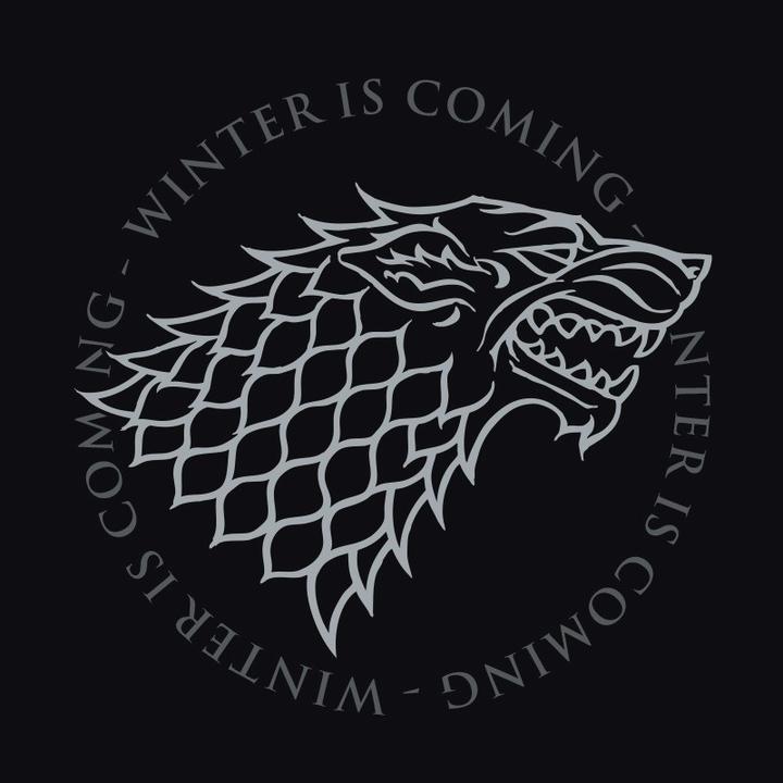 Produktbild ABYstyle GAME OF THRONES - Jacket - Stark man blackdark grey (M)