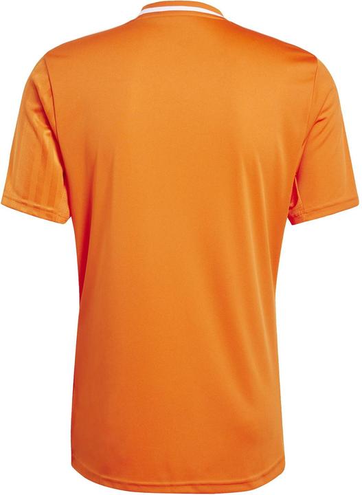 Actual product image adidas Campeon 25 jersey (XL)