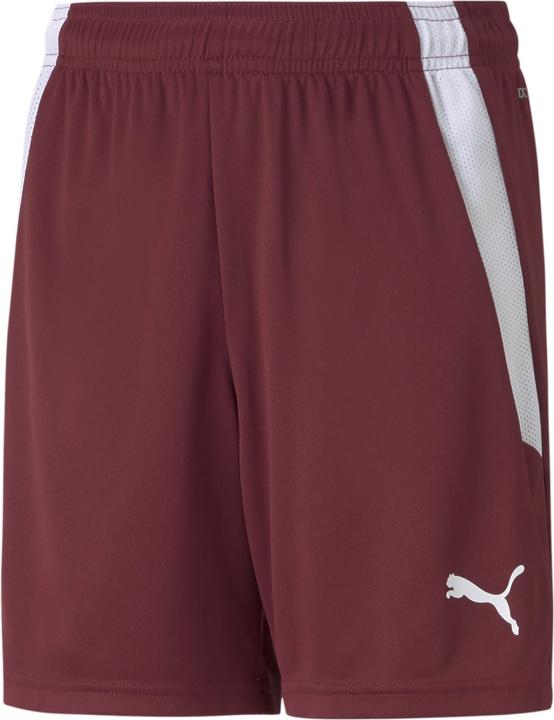 Image du produit Puma short teamLIGA Jr-704931 (128)