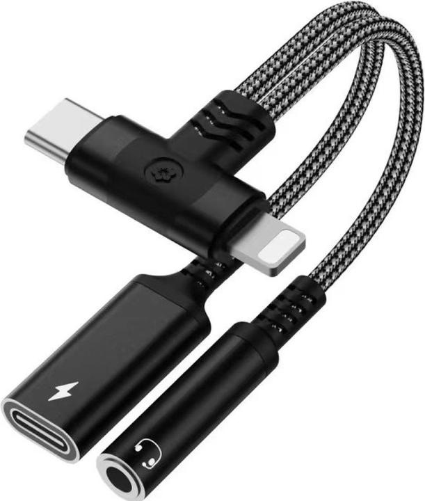 PowerGuard USB-C & Lightning zu 3.5mm Klinke & Type C Charge Adapter (USB Typ C, Lightning)