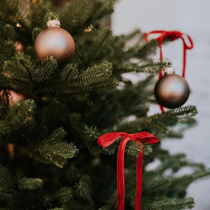 Produktbild Treehouse Weihnachtsbaum (150 cm)