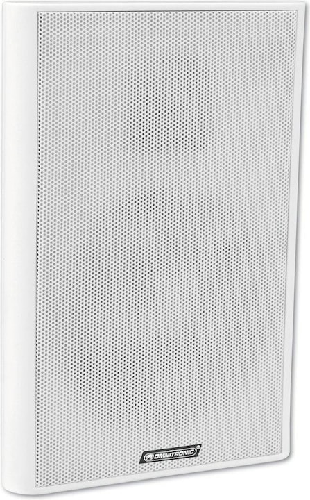 Omnitronic Haut-parleur mural Public Adress FPS-5 10 (1 pièce)