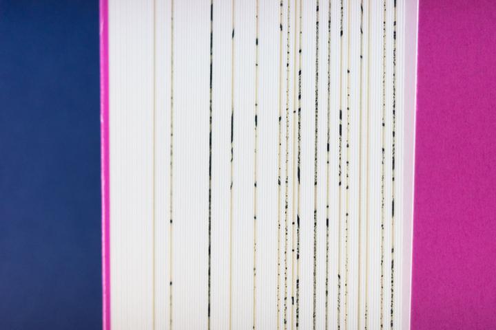 Produktbild Der Architekt Peter Grund und die Tradition in der Moderne (Deutsch, Ute Reuschenberg, Renate Kastorff-Viehmann, Wolfgang Sonne, Jörg Stabenow, 2024)