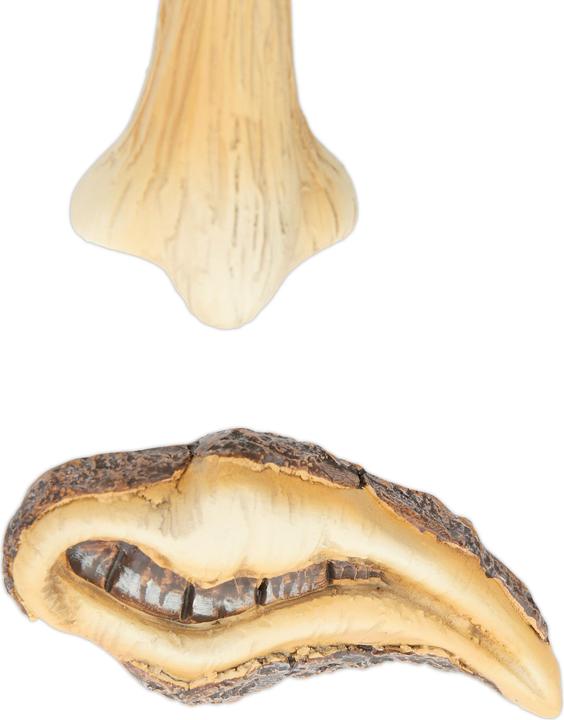 Produktbild Relaxdays Baumgesicht