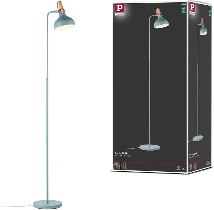 Actual product image Paulmann Juna (E14)