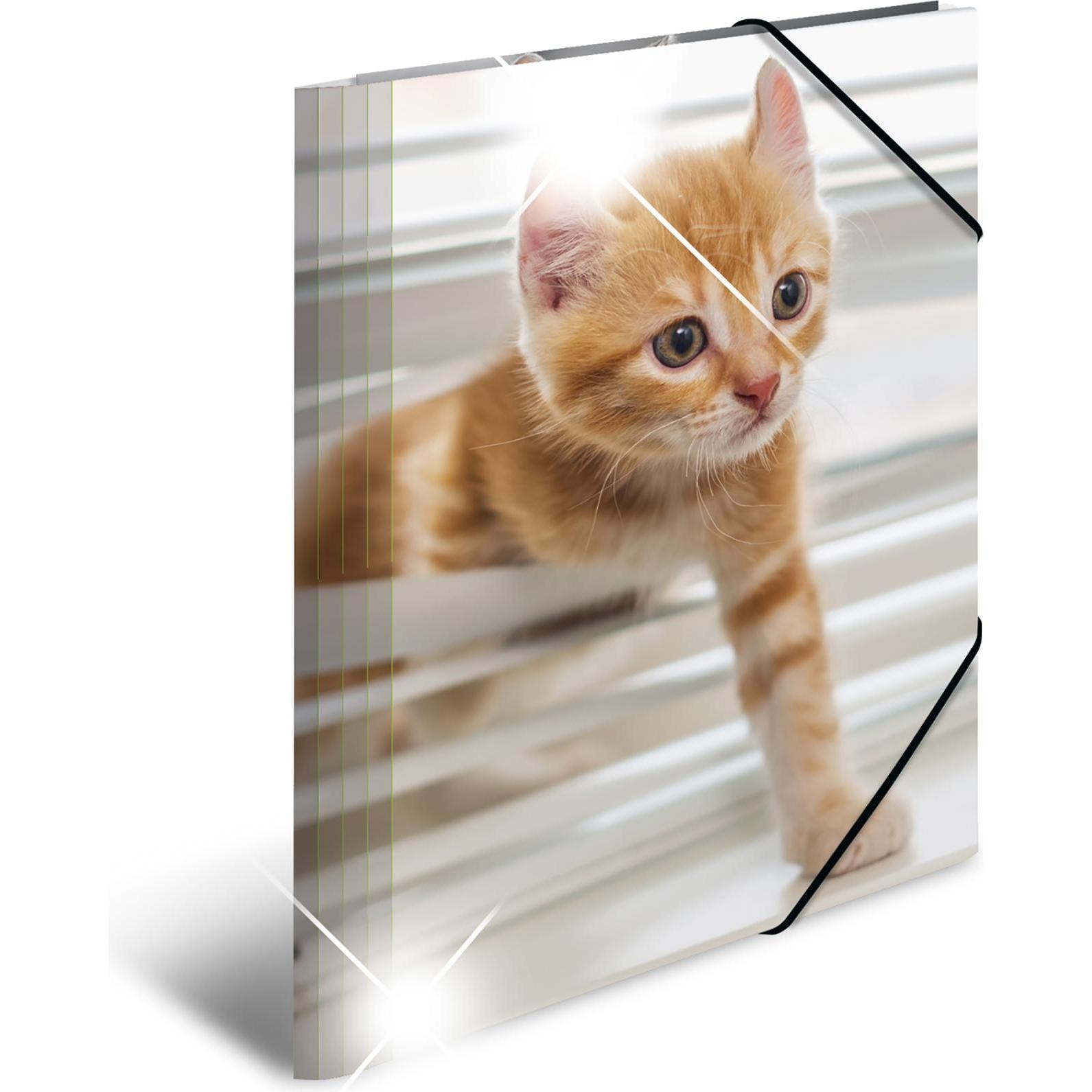 Herma, Mappe, Eckspannermappe "Katzen", PP Glossy, DIN A4 Masse: (B)244 x (T)4 x (H)320 mm, mit 3 Innenklappen (A4, 1 x)