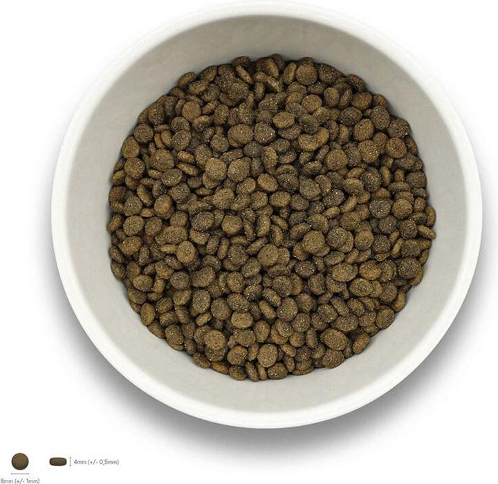 Produktbild Sollis Trockenfutter Hund Ente-Minis 500g (Adult, 1 Stk., 500 g)