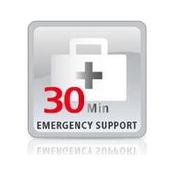 Lancom Systems Lancom Emergency Support für