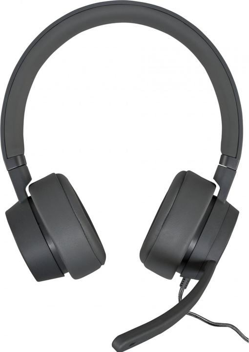 Actual product image Lenovo GXD1C99243 headphones/headset Wired Head-band Calls/Music USB Type-C Grey (ANC, Cable)