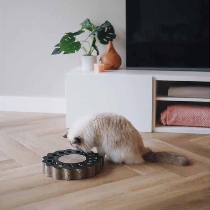 Image du produit District 70 Jouet pour chats Plateau de jeu Sunny Black, 32 x 32 x 6 cm (Canne à pêche chat)