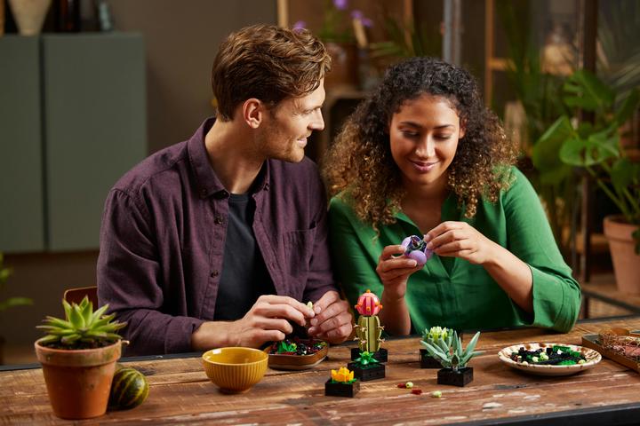 Image du produit LEGO Les succulentes (10309, LEGO Botanical, LEGO difficiles à trouver)